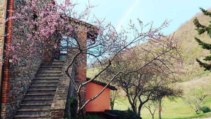 Agriturismo Paradiso41 Assisi Exterior photo